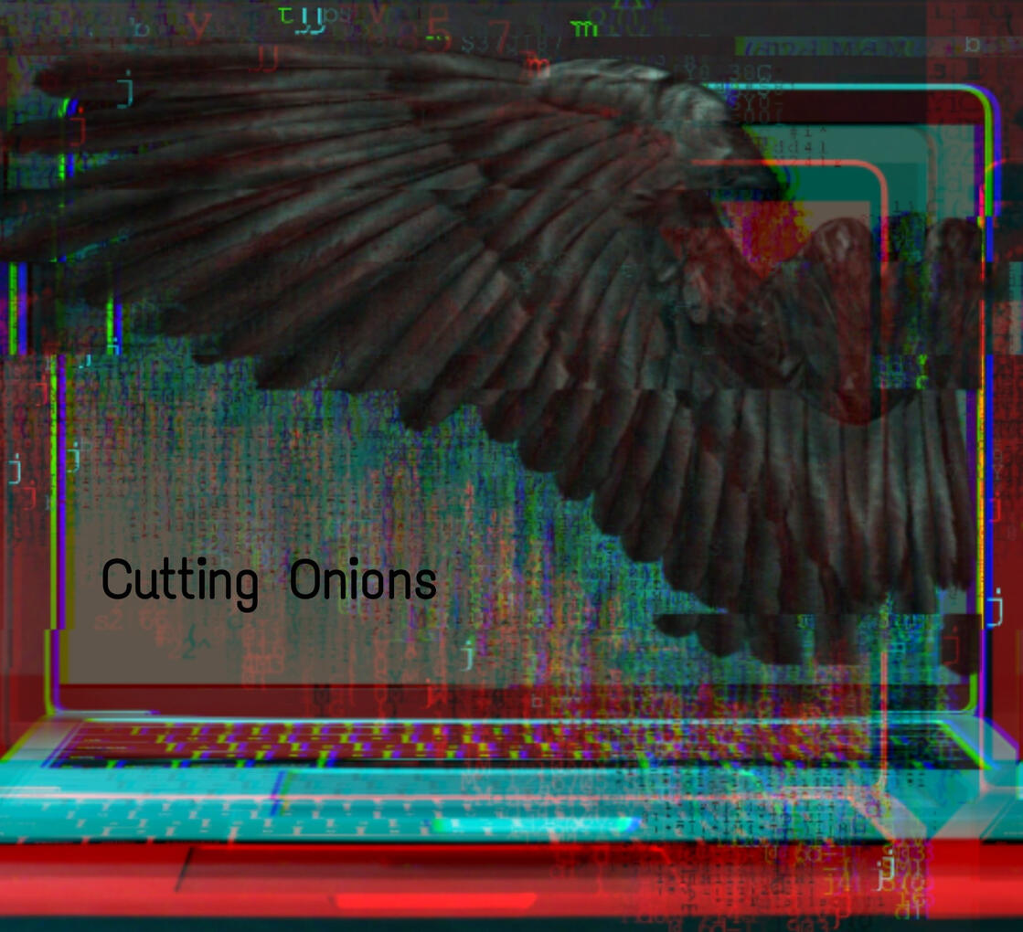 14: Cutting Onions